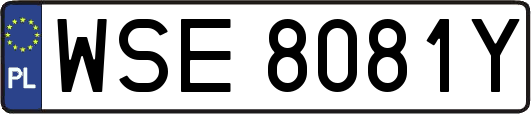 WSE8081Y