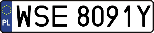 WSE8091Y
