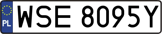 WSE8095Y