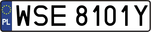 WSE8101Y