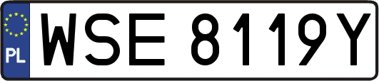 WSE8119Y