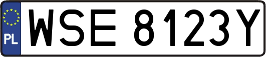 WSE8123Y