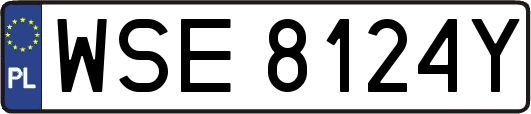 WSE8124Y