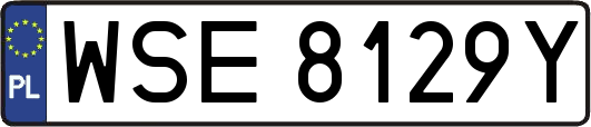 WSE8129Y