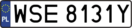 WSE8131Y