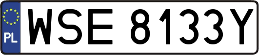 WSE8133Y