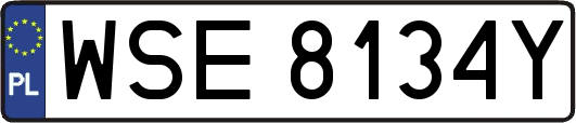 WSE8134Y