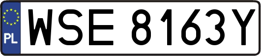 WSE8163Y
