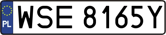 WSE8165Y