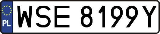 WSE8199Y