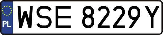 WSE8229Y