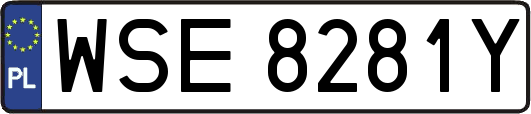 WSE8281Y