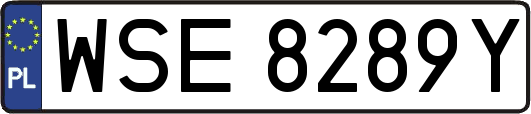WSE8289Y