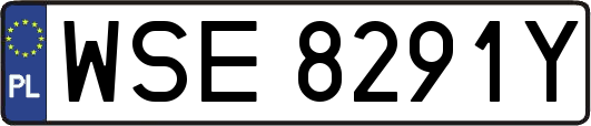 WSE8291Y