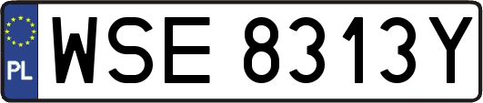 WSE8313Y