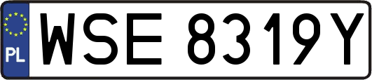 WSE8319Y