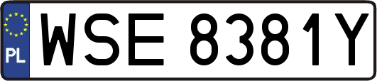 WSE8381Y