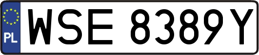 WSE8389Y