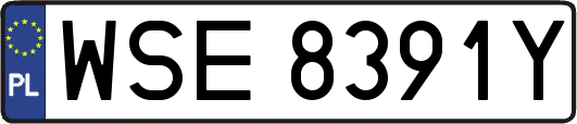 WSE8391Y
