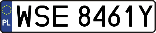 WSE8461Y