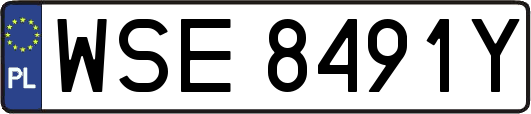 WSE8491Y
