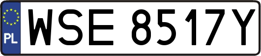 WSE8517Y