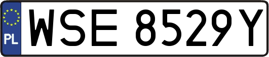 WSE8529Y