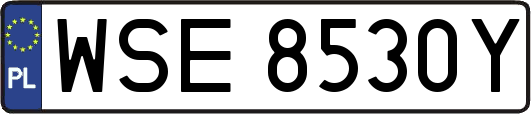 WSE8530Y