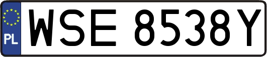 WSE8538Y