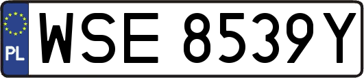 WSE8539Y