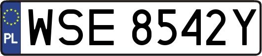 WSE8542Y