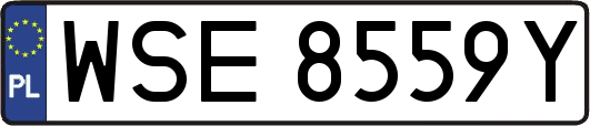 WSE8559Y