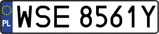 WSE8561Y