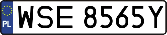 WSE8565Y
