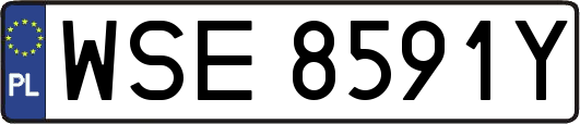 WSE8591Y