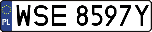 WSE8597Y