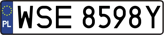 WSE8598Y