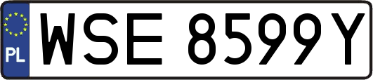 WSE8599Y