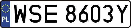 WSE8603Y