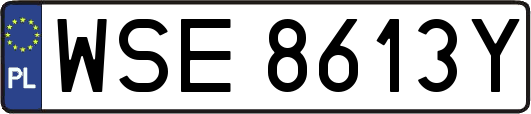 WSE8613Y