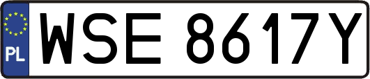 WSE8617Y