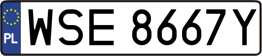 WSE8667Y