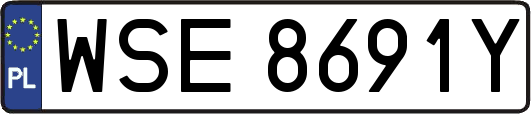 WSE8691Y