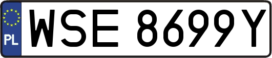WSE8699Y
