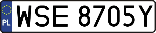 WSE8705Y