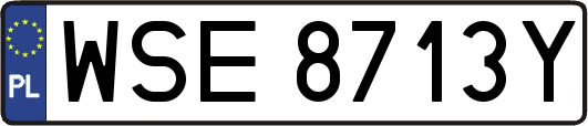 WSE8713Y