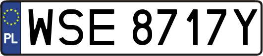 WSE8717Y