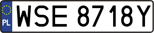 WSE8718Y