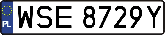 WSE8729Y