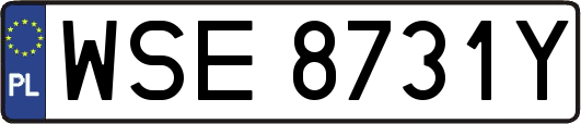 WSE8731Y